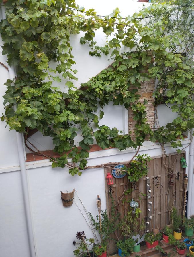 Apartamento Eg17 阿尔科斯-德拉弗龙特拉 外观 照片